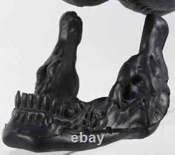 ALIEN movie prop xenomorph HEAD aliens H. R. GIGER Sci-fi horror Production used