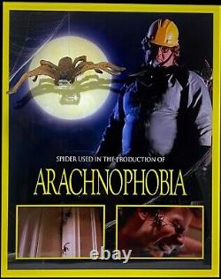 ARACHNOPHOBIA Prop Spider On Display