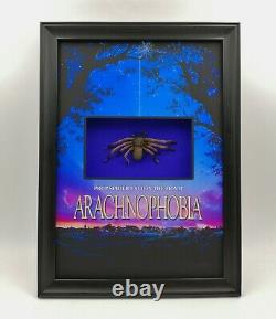 Arachnophobia Spider Bob Used Movie Prop Display Horror Coa