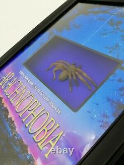 Arachnophobia Spider Bob Used Movie Prop Display Horror Coa