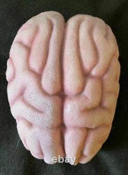 Extremely Rare! Scary Movie 2 Original Screen Used Shorty's Brain Movie Prop