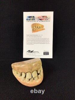 Harry And The Henderson Plaster Teeth Movie Film Prop & Coa. Bigfoot Sasquatch