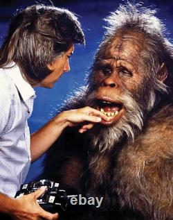 Harry And The Henderson Plaster Teeth Movie Film Prop & Coa. Bigfoot Sasquatch