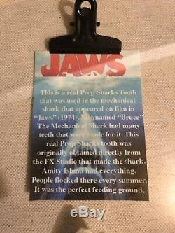 JAWS 1975! Bruces Tooth! Movie Prop Original Piece