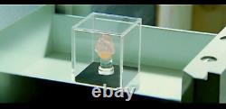 Leonardo Dicaprio Prop Pink Diamond From Blood Diamond Movie