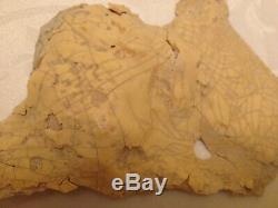 Original KRAYT DRAGON skeleton bone Star Wars 1976 movie screen-used prop props