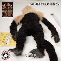 Screen-Used Prop Capuchin Monkey Pirates of the Caribbean Black Pearl