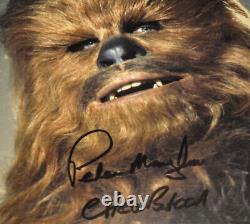 Signed PETER MAYHEW Autograph Frame, Prop CHEWBACCA Hair, STAR WARS Blu DVD, COA