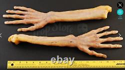 Tank Girl Corpse Arms Cult Classic Post Apocalyptic Science Fiction Movie Prop